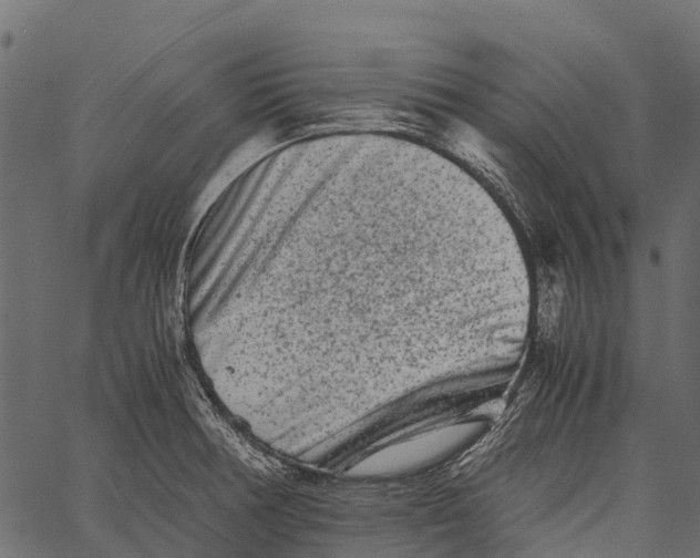 X0000062631378200601111049