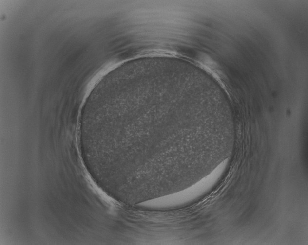 X0000062631379200601111049