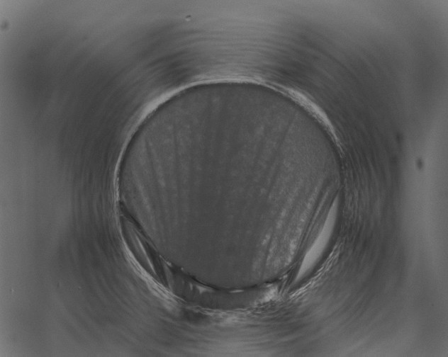 X0000062631380200601111049