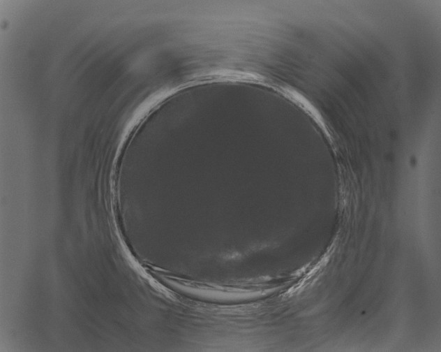 X0000062631381200601111049