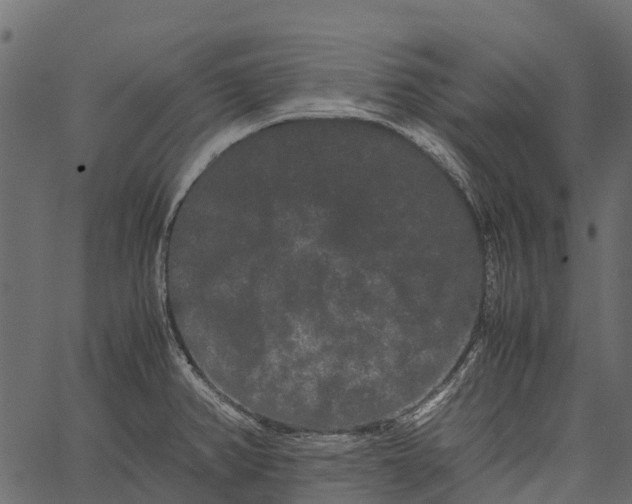 X0000062631382200601111049