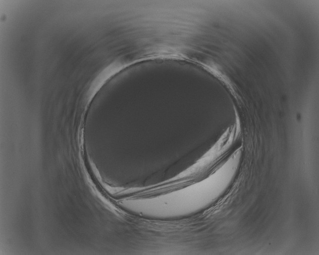 X0000062631383200601111049