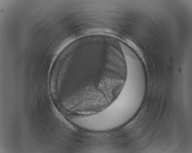 X0000062631384200601111049