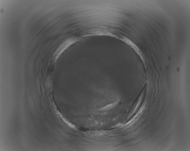 X0000062631385200601111049