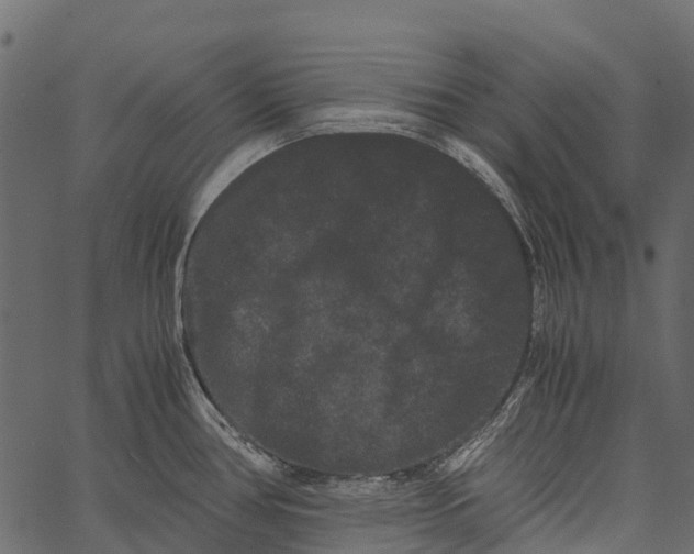 X0000062631386200601111049