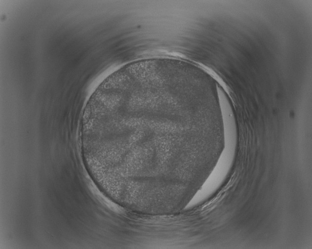 X0000062631387200601111049