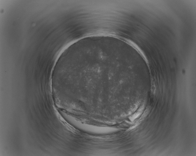 X0000062631388200601111049