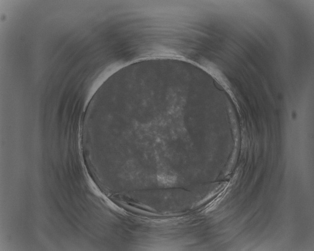 X0000062631390200601111049