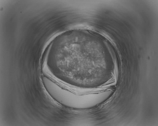 X0000062631392200601111049