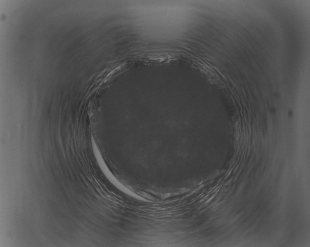 X0000062631394200601111048