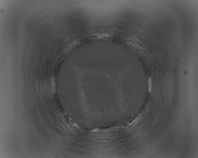 X0000062631395200601111048