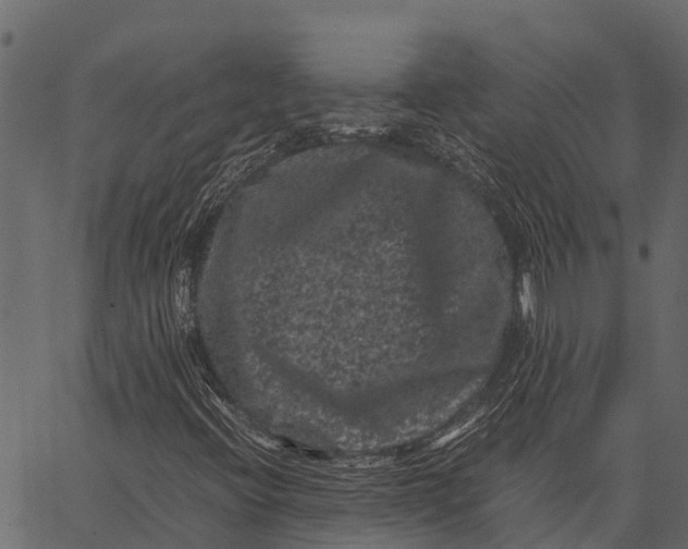 X0000062631396200601111048