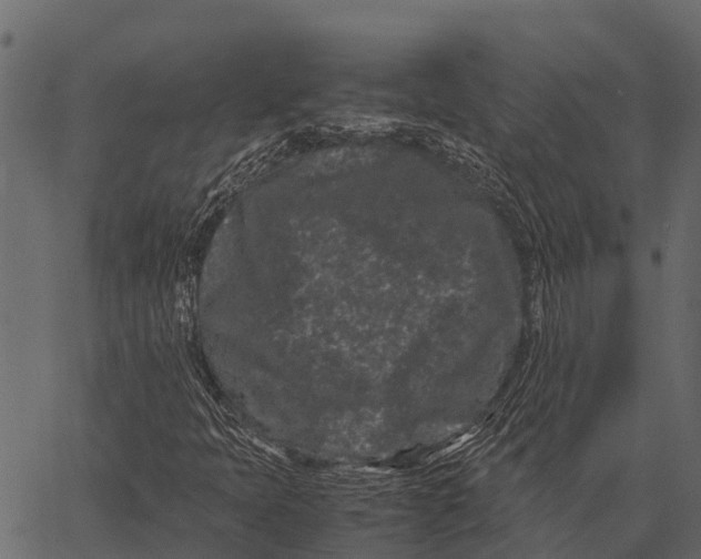 X0000062631397200601111048