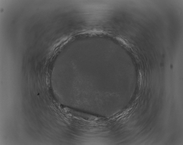 X0000062631398200601111048