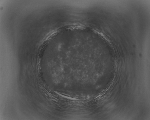 X0000062631399200601111048