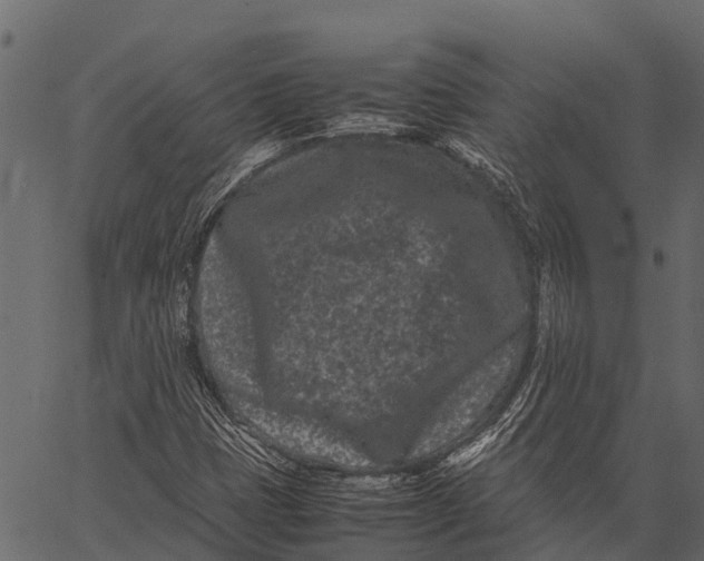 X0000062631401200601111048