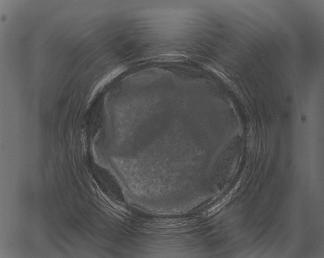 X0000062631402200601111048