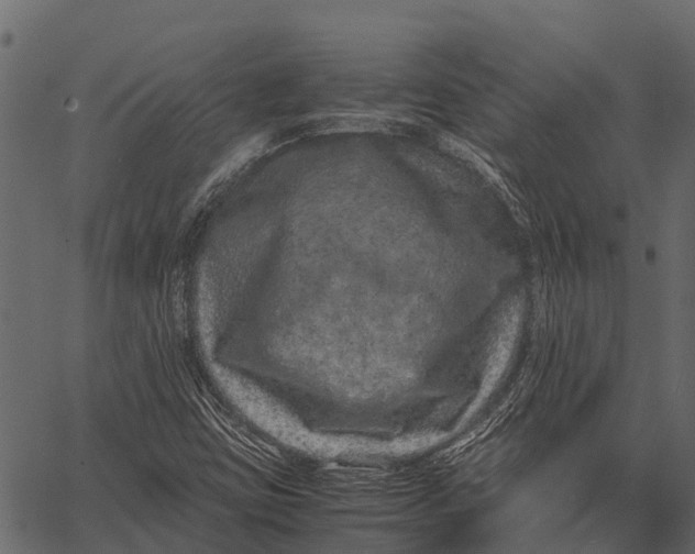 X0000062631403200601111048