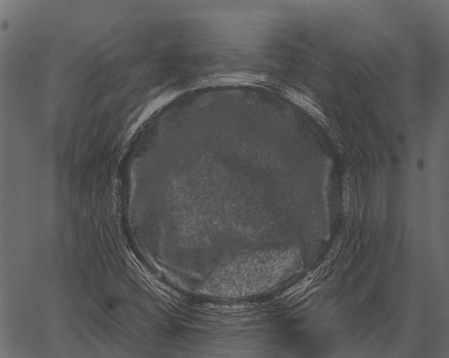 X0000062631404200601111048