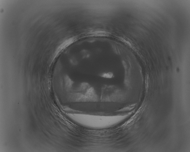 X0000062631405200601111048