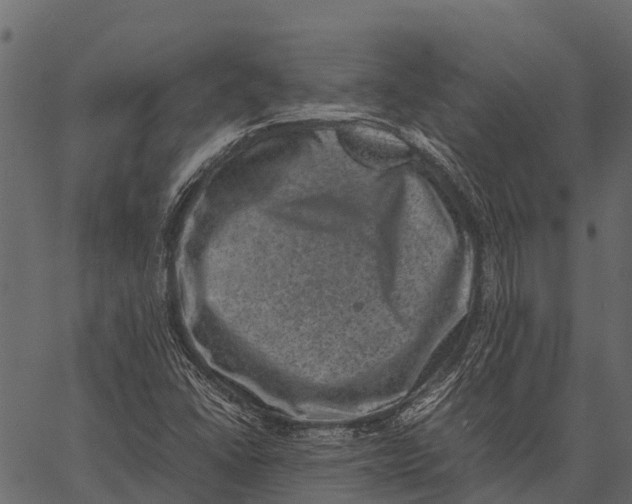 X0000062631406200601111048