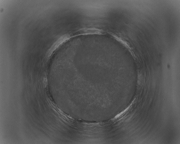 X0000062631407200601111048