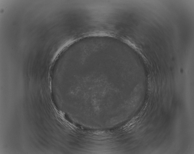 X0000062631408200601111048