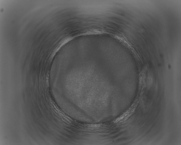 X0000062631409200601111048