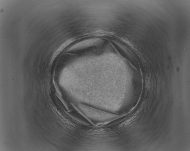 X0000062631410200601111048