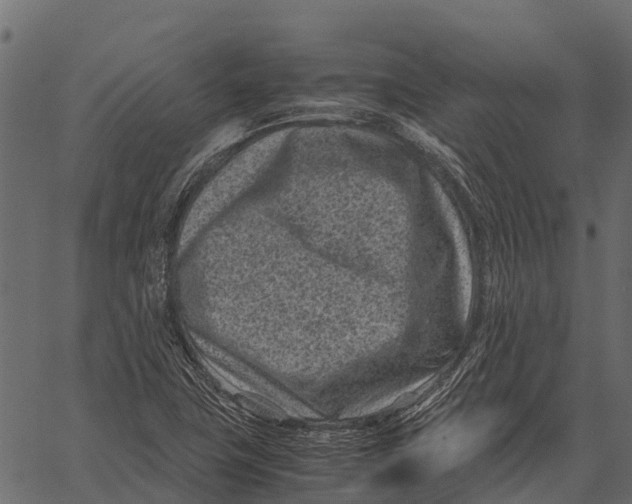 X0000062631411200601111048