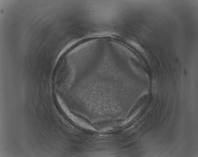 X0000062631412200601111048