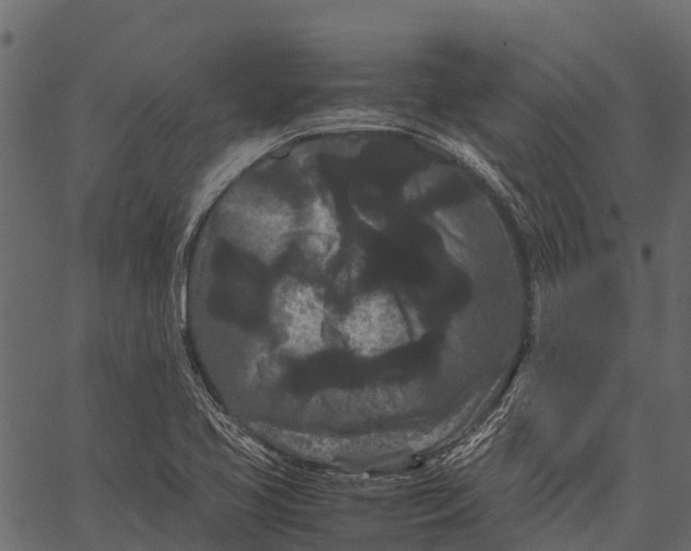 X0000062631413200601111048