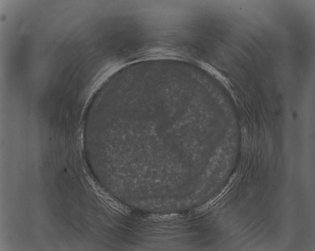 X0000062631415200601111048