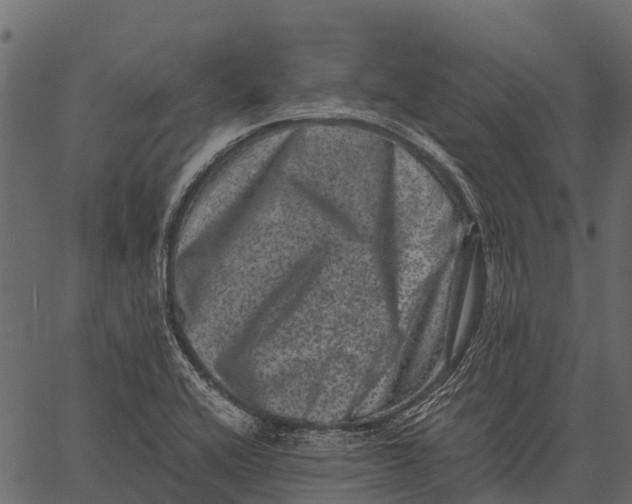 X0000062631416200601111048