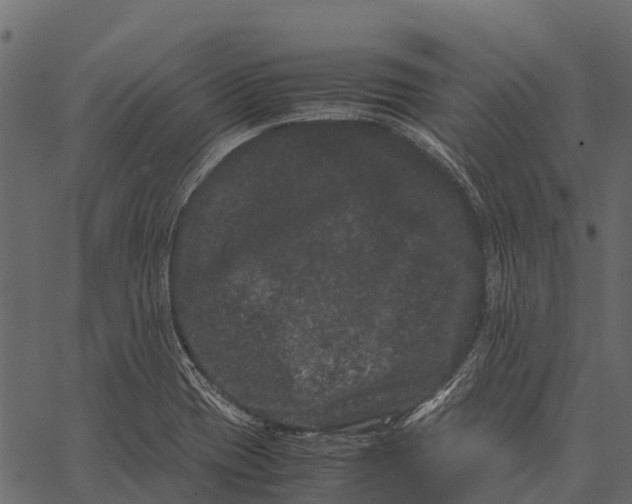 X0000062631417200601111048