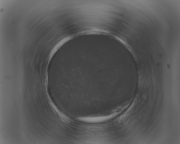 X0000062631418200601111048