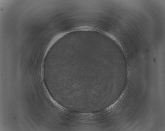 X0000062631421200601111048