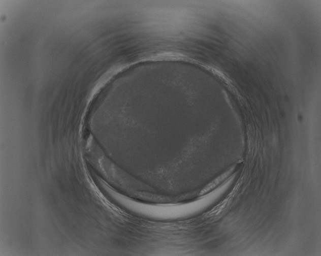 X0000062631422200601111048