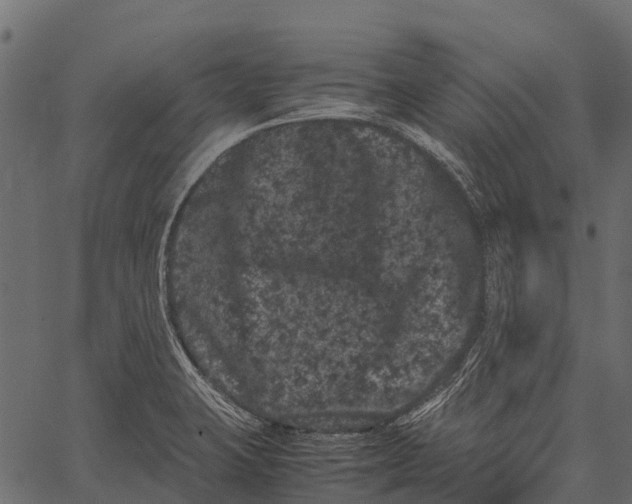 X0000062631423200601111048