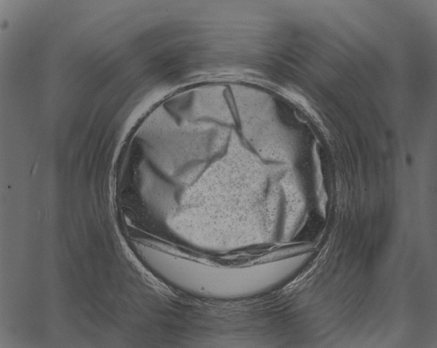 X0000062631424200601111048