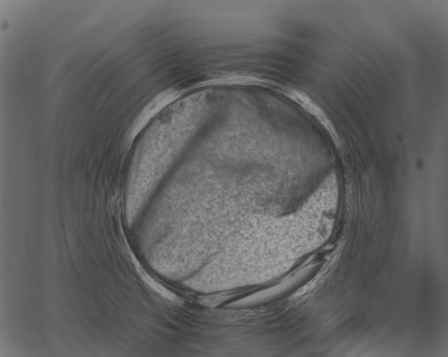 X0000062631425200601111048