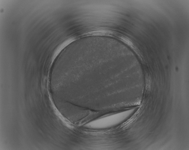 X0000062631426200601111048