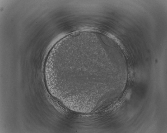 X0000062631427200601111048