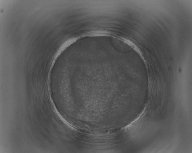 X0000062631429200601111048