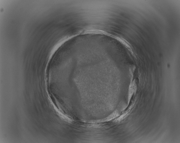 X0000062631430200601111048