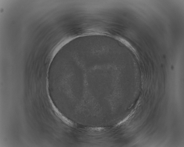 X0000062631431200601111048