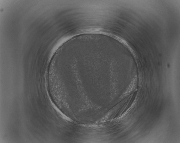 X0000062631432200601111048