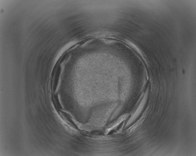 X0000062631434200601111048