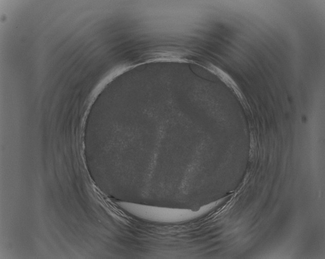 X0000062631435200601111048