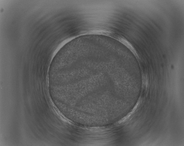 X0000062631436200601111048